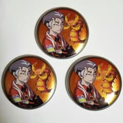 ポケモンセンター限定 ソード シールド 缶バッジコレクション ガラル編