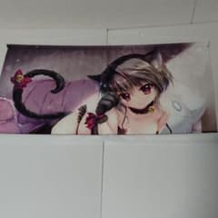 9-nine 結城希亜 B2タペストリー ソフマップ特典 - メルカリ