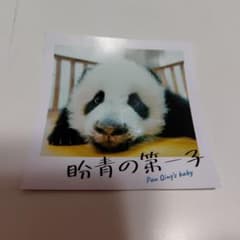 映画「パンダのすごい世界 」入場者特典 チェキ風カード 盼青の第一子