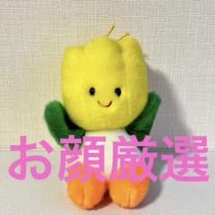 ハウステンボス チューリー チューリップ ぬいぐるみ 昭和レトロ