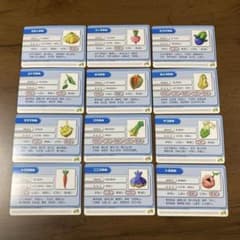 ポケモンバトルカードe+ ルビー サファイア カチャのみ 12枚