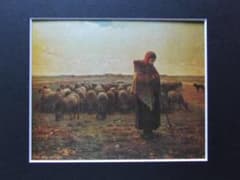 m46217932002_1.jpg?1701075275