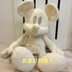 m47875778161_1.jpg?1769252576