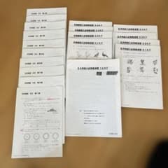 SAPIX サピックス SS特訓 慶應普通部 理科特訓 KE KFプリント - メルカリ