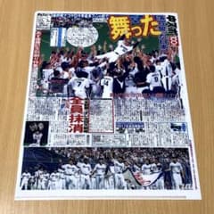 中日ドラゴンズ 優勝記念 新聞記事 A4クリアファイル 中日スポーツ 中