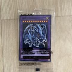 m48601271517_1.jpg?1754521804