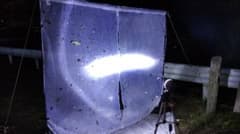 HIDライトトラップ サーチライトタイプ55W 紫外線放出加工済み