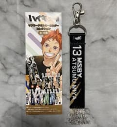 m49123638921_1.jpg?1711181396