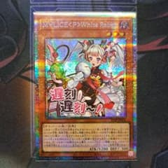 m49475125806_1.jpg?1765634551 m49475125806_1.jpg?1765634551