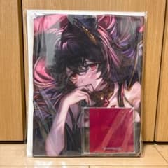 グラブルフェス 2025 抱き枕カバー ニーア 特典CD付き - メルカリ