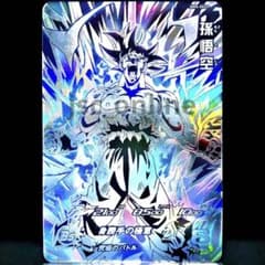 m40153052281_1.jpg?1719552573