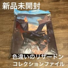 ポケモンカードゲーム コレクションファイル 色違いのリザードン