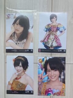 m40236851991_1.jpg?1728693547