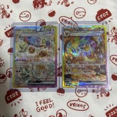 追跡発送 テラスタルフェスex SAR ブースターex イーブイex 2種セット