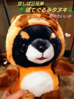 豆しば三兄弟 ぽてぐるみタヌキ 豆ジロー JB - メルカリ