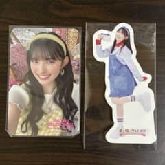 m40622238583_1.jpg?1731162212