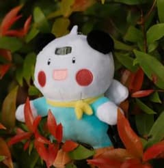 安いHUNTER×HUNTER ポットクリンの通販商品を比較 | ショッピング情報