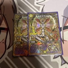 昇カオスマントラ フォーチュンカオスマントラ シークレット シク