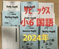 小6 国語 デイリーサピックス 24回分+春期講習•夏期講習 ウィークリー
