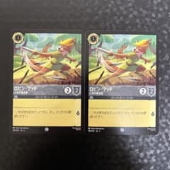 組合せ、金額設定自由】ロルカナ ロビン・フッド〈人気の無法者〉1枚