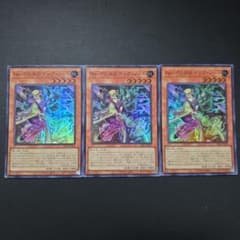 遊戯王 No―P.U.N.K. ディア・ノート スーパーレア 3枚セット - メルカリ