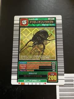 m54639759387_1.jpg?1724521057