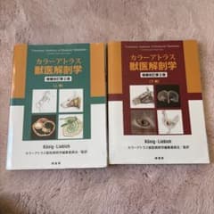 カラーアトラス獣医解剖学増幅改訂版上下巻セット - メルカリ