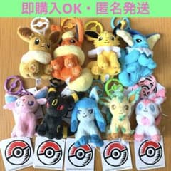 ポケモンセンター カラビナ付きマスコット ブイズ ぬいぐるみ タグ付き