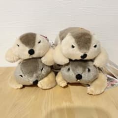 Dr.マーモット まもちおもプクのぺたーん＆マモ相撲ぬいぐるみ 4種