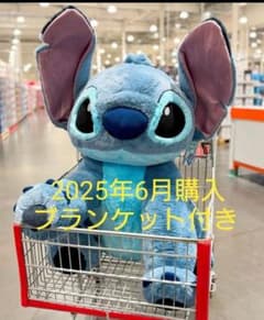 m56012447795_1.jpg?1751029528