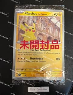 Pikachu at the Museum ピカチュウ ロンドン自然史博物館 ⑦ - メルカリ
