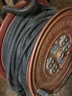 掛け軸桐箱入り評価額有り 美術年鑑第十五号評価34万5千円游鯉図 作者