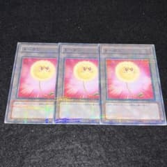 遊戯王 綿毛トークン パラレル 3枚 ゲートボール 1103 環境 - メルカリ