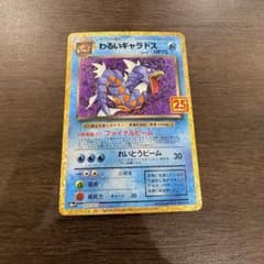 わるいギャラドス 005/025 25th ポケモンカード プロモカード - メルカリ