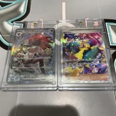 ポケモンカード Nのゾロアーク カナリィ SARセット - メルカリ