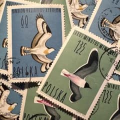 おしゃれな外国切手 ポーランド 鳥 2種 大型 30枚 海外切手 紙もの 古