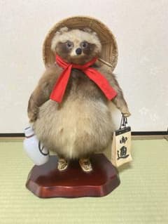 たぬき 剥製 狸 置物 - メルカリ
