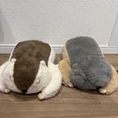 m59814233925_1.jpg?1766105469