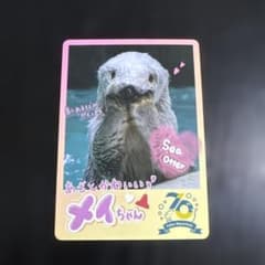 m50027250397_1.jpg?1751872182