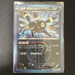 ブラッキー R BW8 ライデンナックル 031/051 - メルカリ