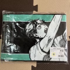 m50259992706_1.jpg?1755235928