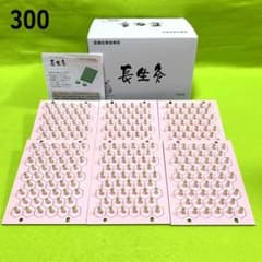 長生灸300壮(ソフト) ＋お灸説明書・ツボ参考図付 - メルカリ