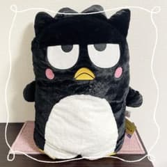 m51545191569_1.jpg?1751624575