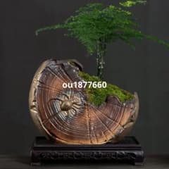 盆栽鉢 年輪知足磁鉢 山野草鉢 多肉植物 植木鉢 小品大品盆栽鉢 陶器鉢