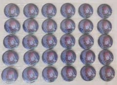 プロセカ グリッター缶バッジ グリ缶 vol.48A 望月穂波30点セット