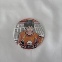 ハイキュー 影山飛雄 コレクション缶バッジ 第8弾 - メルカリ