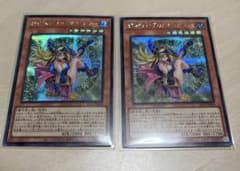 魔術師の弟子 ブラックマジシャンガール シク シークレット 2枚セット