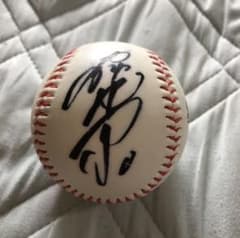 m64194078703_1.jpg?1651708330