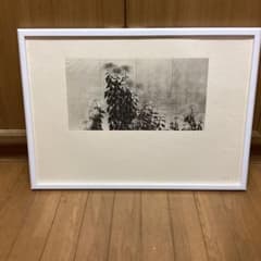 天才画家速水御舟 作品集大作編 便利堂監修 画集 NO 10 【菊花図