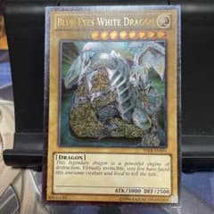 青眼の白龍 石盤 英語 レリーフ アルティメットレア - メルカリ